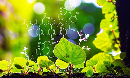 Plants captured on video communicating with each other for the first time ever