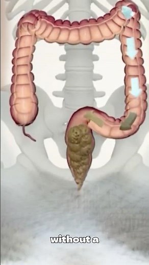 7 Days Without Pooping What REALLY Happens to Your Body