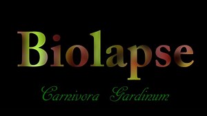 This Menacing Carnivorous Plant Timelapse Is A Horror Movie For Bugs