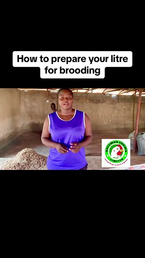 litre management is so important in ur production process. #datemasfarms #makemefamous #foryoupage #viraltiktok #makemegovrial #makeittothefyp #foryou #CapCut #poultry #beinforyoupage