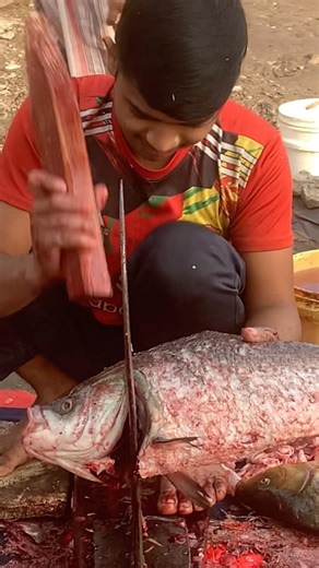 popular village Katla fish cutting skills #fish #fishing #shorts