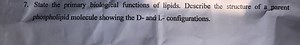 State the primary biological functions of lipids. Describe the ... | Filo