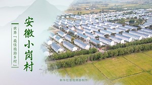 文化中国行丨世界“最佳旅游乡村”：安徽小岗村-新华网