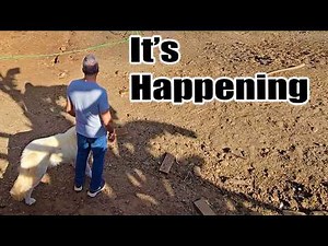 Starting the Pasture Transformation from Dirt to Grass