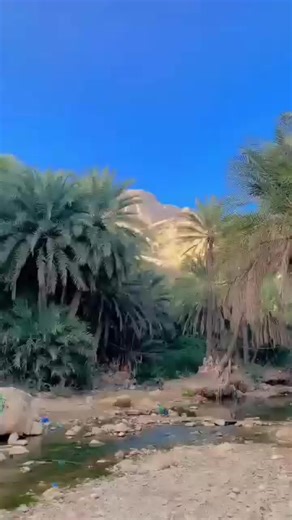 Repost 🇩🇯 For you page viral#vudeo#penjra pool cap cut ❤️❤️❤️❤️❤️❤️❤️❤️❤️❤️❤️❤️❤️❤️❤️