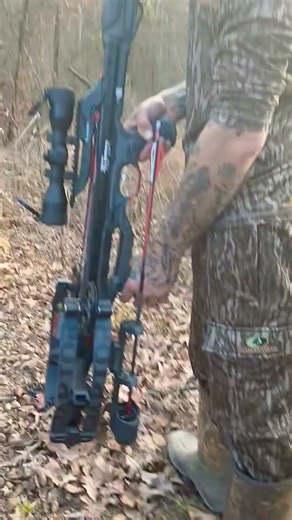 Barnett Raptor review, great shooting crossbow. #crossbow #crossbowhunting #outdoors #hunting