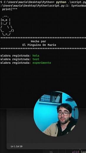 🐍 Así es Cómo Funciona un KEYLOGGER en PYTHON | Protege tu PC 🔒 #SHORTS