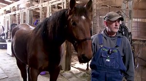 The Ohio Harness Horsemen's Association presents Freshman Focus, a look at two-year-olds in training in Ohio. Today's guests are John Ackley and Mark Winters. Freshman Focus is presented by Sugar Valley Farm and Eldorado Scioto Downs. Vol 1, No. 5 | Ohio Harness Horsemen's Association