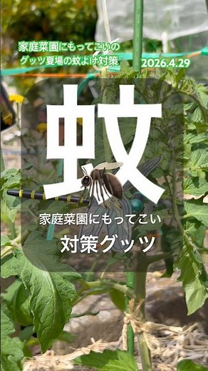 [Perfect for home gardening] Effective against mosquitoes #mosquitoes