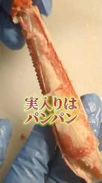 【ラクチン調理】解凍するだけで美味しい激安カニ！ポチったら届きました！#オオズワイガニ #北海道 #仕入れ #魚ポチ