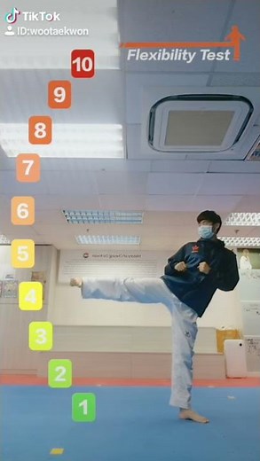 Taekwondo Side Kick Flexibility Challenge