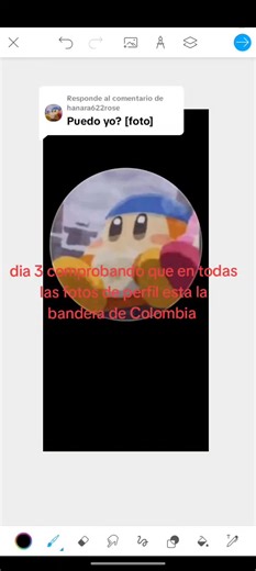 Frases de Mamá y Bandera de Colombia en TikTok