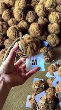 The Sustainable Pet Trend: Why Coconut Husk Is Gaining Popularity #cwdcvietnam #dogtoy #coconuthusk