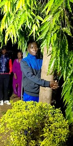 12K views · 317 reactions | UPDATE: Pastor Jimmy Irungu has launched an 80-hour tree-hug challenge in Murang’a Town, amplifying and echoing Truphena Muthoni’s inspiring 72-hour hug challenge in support of environmental conservation and climate act | Star Buzz Kenya | Facebook