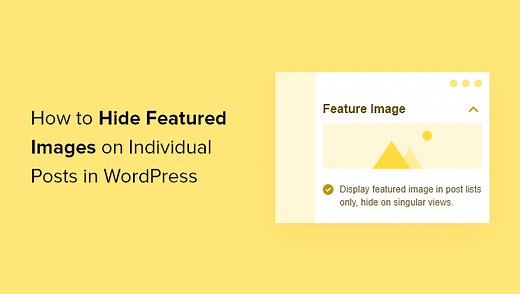 How to Hide Featured Images on Individual Posts in WordPress