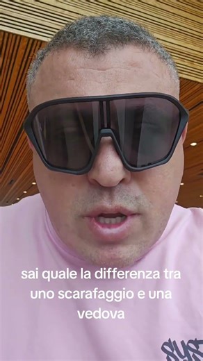 sai quale la differenza tra uni scarafaggio e una vedova