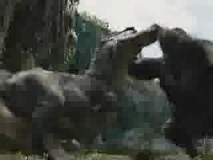 King Kong vs T-REX 2