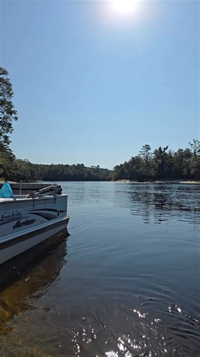 Enjoy the mouth of the Little River Springs. | Suwannee River Rest Lodge & Adventures