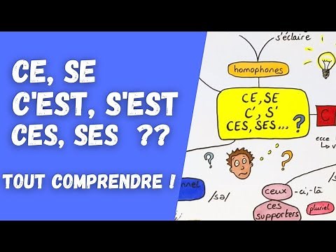 Ce, se, ces, ses, c’est, s’est… BIG SPELLING traps finally solved!