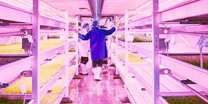 Abandoned Bomb Shelters Are Home to the Future of Farming, Without Soil or Sunlight