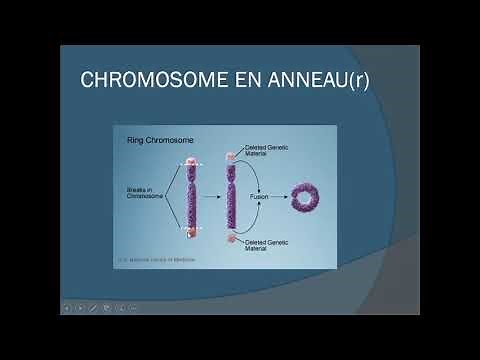 cours anomalies du caryotype