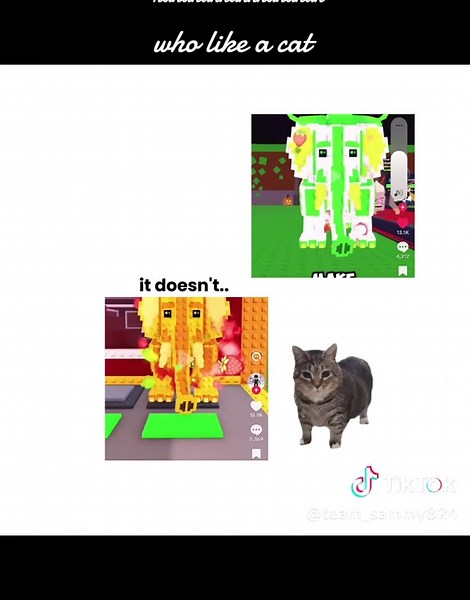 Adorable Kittens: A Fun Look at Cute Cat Memes