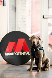 Career Lab | MAXX Potential
