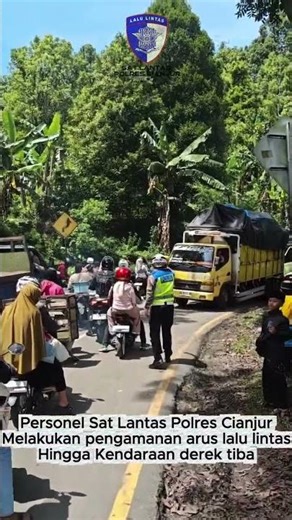 Rapid Response to Traffic Accident Handling