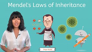 Mendel's Laws of Inheritance