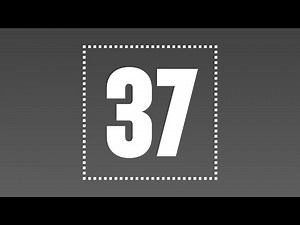 H.I. #37: Penguins and Politics