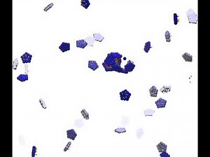 Hagan Lab: Viral Genome Structures are Optimal for Capsid Assembly (Video 2)