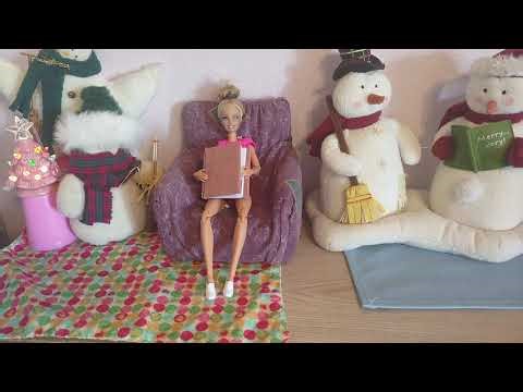 Book 2 | "The Outsiders" | By S. E. Hinton | Read by Mrs. Pslam | Video 15.