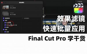 【FCP干货】批量应用效果滤镜