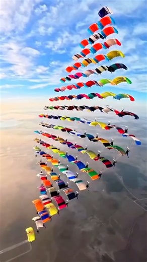 Ali_Speaks✨ on Instagram: "This is NOT a Hollywood Movie! 😱 World Record Skydive #Skydive #WorldRecord #Florida #AmazingFacts"