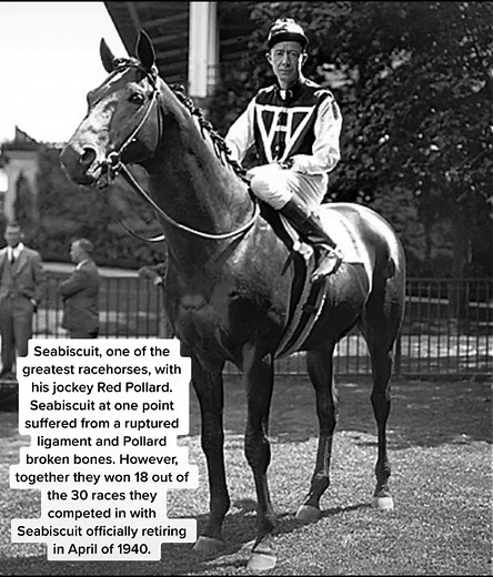 #coolhistory #coolhistoryfacts #coolhistorystuff #coolhistoryphotos #history #historytime #historytiktok #historytimes #animalsoftiktok #animals #horsesoftiktok #seabiscuithorse #seabiscuithorseracing #horseracing #sports #foryourpage #foryouu