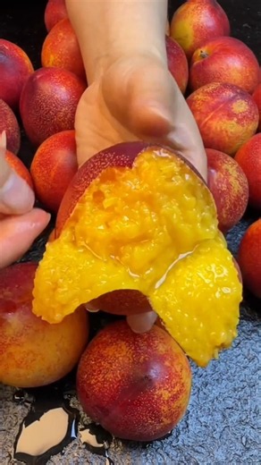 🍊🥭🍎🍅🍓🍍#shorts #nature #fruit #garden #vegetables #foryou #shortvideo#vlog