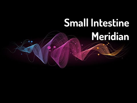 Unblock and Balance the Small Intestine Meridian - Reiki Energy/Frequency Healing Music
