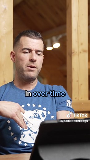 Introducing Your Dog to Your New Baby: Best Practices Revealed