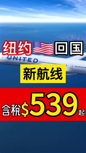 🇺🇸纽约回国新航线 机票便宜到离谱 #airticketing #usa #美国 #纽约 #上海天航