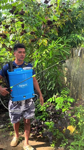 Electric Agriculture Sprayer: Efficient Farming Solution