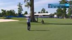 Alex Fitzpatrick’s incredible approach leads to birdie at Zurich Classic