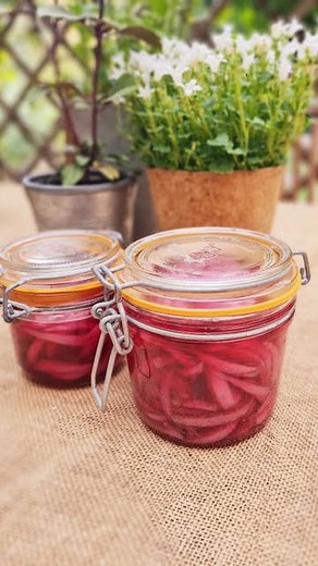 Caroline on Instagram: "Le secret pour sublimer n'importe quel plat? Ces pickles d'oignons rouges maison. Hyper rapides à préparer et une explosion de saveurs garanties ! 勺暈勺 #picklesmaison #oignonsrouges #foodielife❤️ #recettefacile #FaitMaison #cuisinerapide #astucecuisine #recettehealthy #mealprep #pickles"