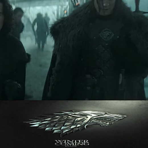 reasons why they are the best house 🐺 . . . #jonsnow #gameofthrones #got #eddardstark #robbstark #aryastark #sansastark #houseofthedragon #stark #edit #xyzbcafypシ #fyp