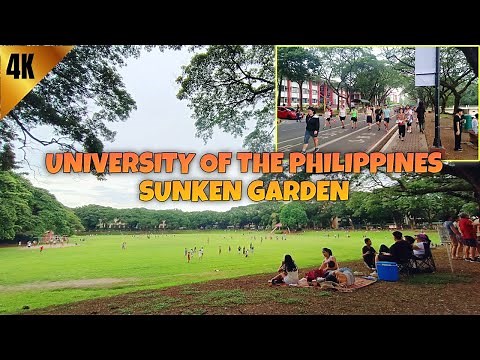 Walk & Jog at UP Sunken Garden in Diliman Quezon City, Philippines 2024 | Walking Tour