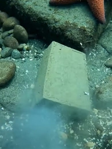 Something Shifted Inside #underwater #scubadiving #deepsea #scubadiver #oceans