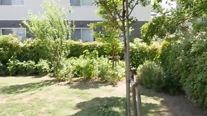 ドローンじゃない、フライングカメラ。スマホケースに入っちゃう「AirSelfie」始動!【小寺信良の週刊 Electric Zooma!】