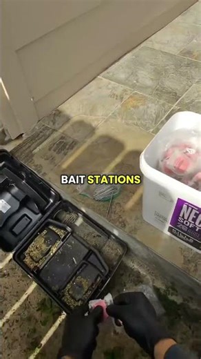 3 Signs Your Pest Control Company Is Doing It Right