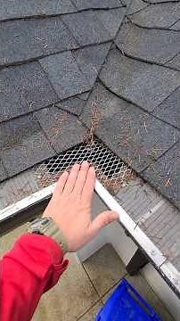 Gutter Guard Issue Solution.