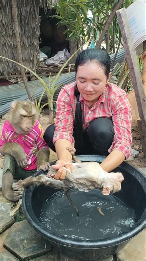 Best SokYaa,OG, Pao & Mom Are Famous Around The World #shorts