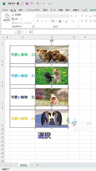 エクセルの写真サイズ自動調整方法 #エクセル #写真サイズ合わせ #Excel